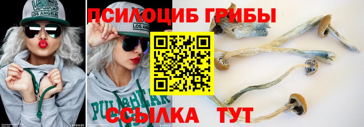 Галлюциногенные грибы мухоморы Гусиноозёрск